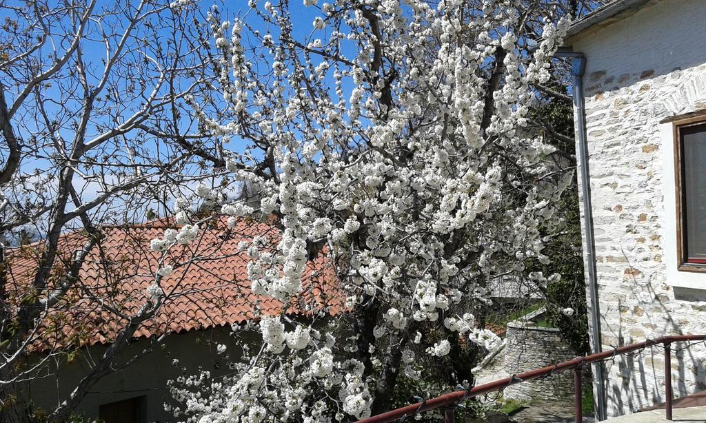Anovolios Boutique Hotel Agios Georgios Nilias Ngoại thất bức ảnh